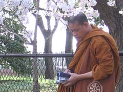 monks enjoying blossoms