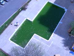 ugly green pool