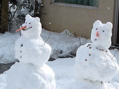 cute snow men