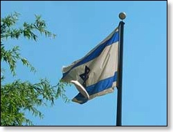 flags_isreal_t
